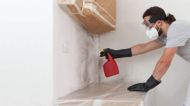 Basement Mold Remediation treatment on basement walls in Keasbey