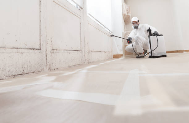 Black mold remediation team in Keasbey